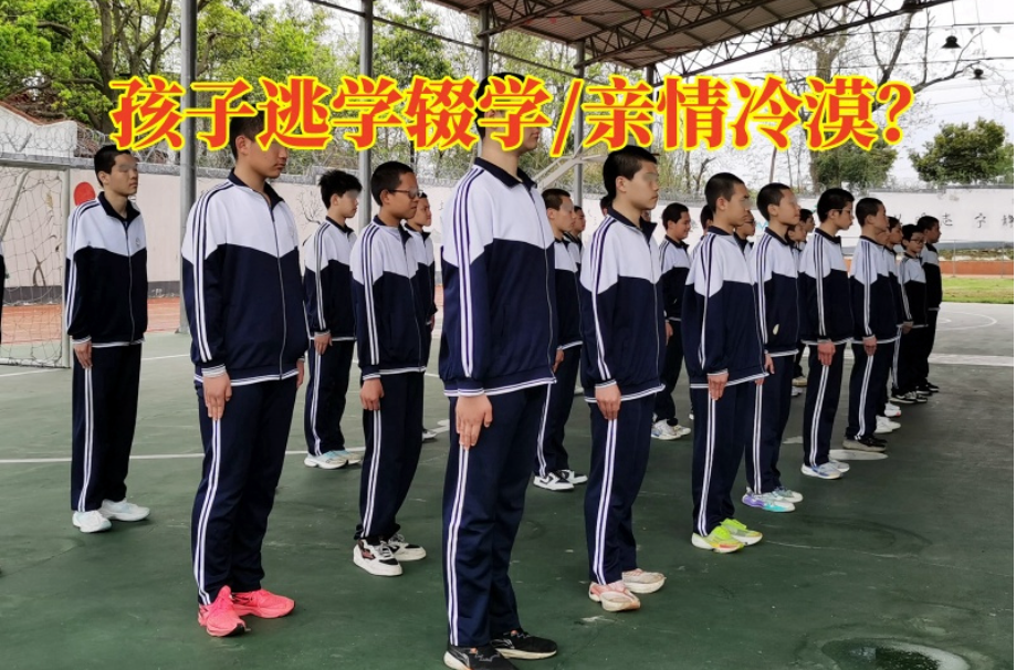 图片.png