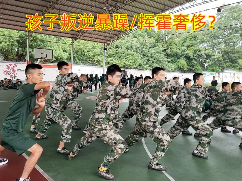 青少年特训学校,特训学校