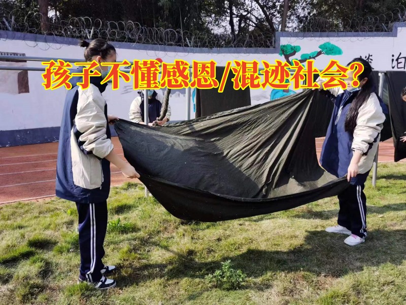 正规励志教育学校：孩子长大后为何不懂得感恩？