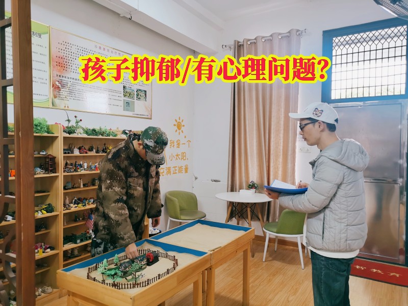 心理辅导学校,抑郁症治疗学校